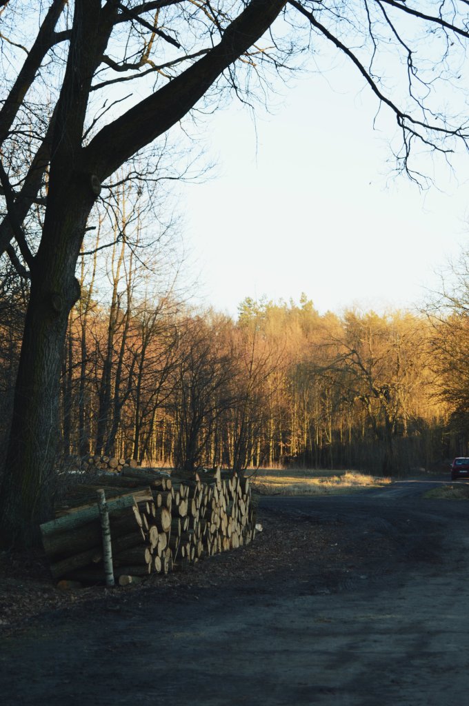 25. Road