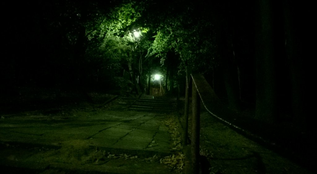 Parkiem noc