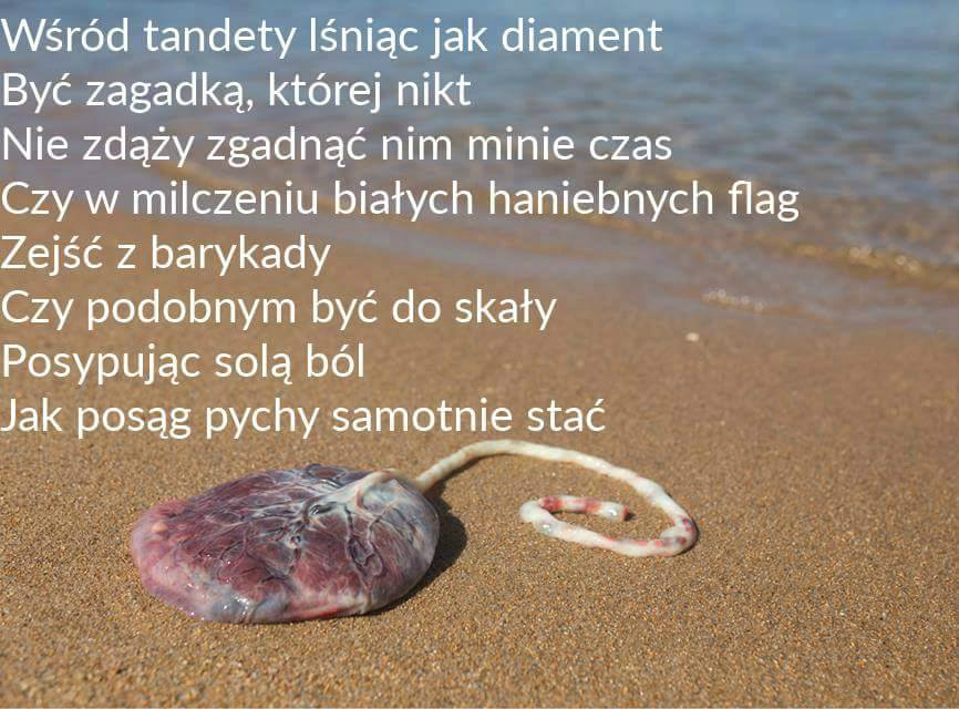 oysko.