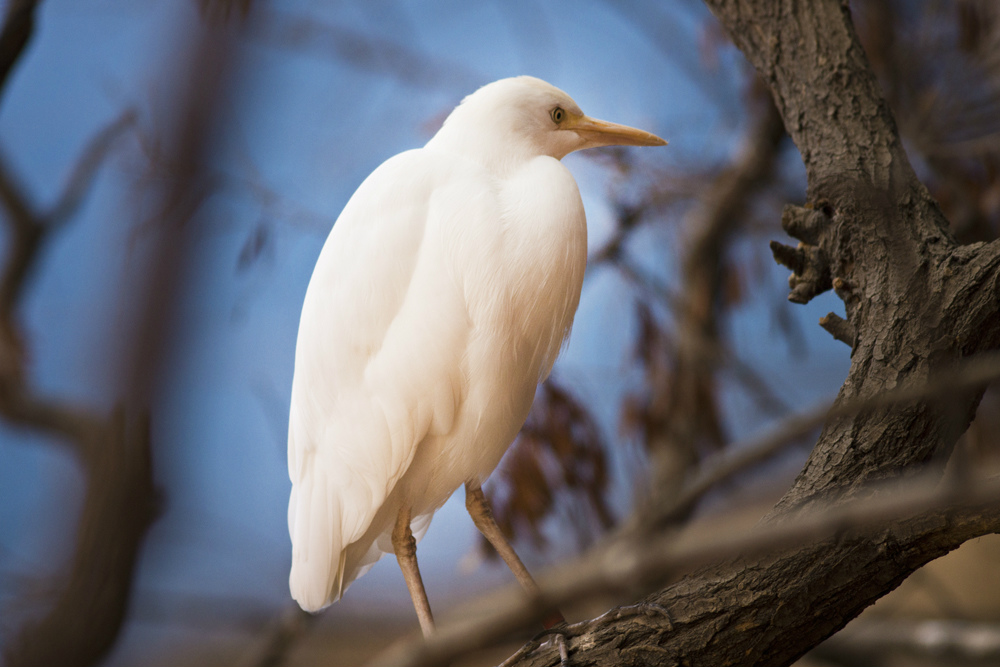 Zoo Wrocaw, 2015