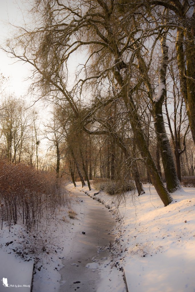Magic winter