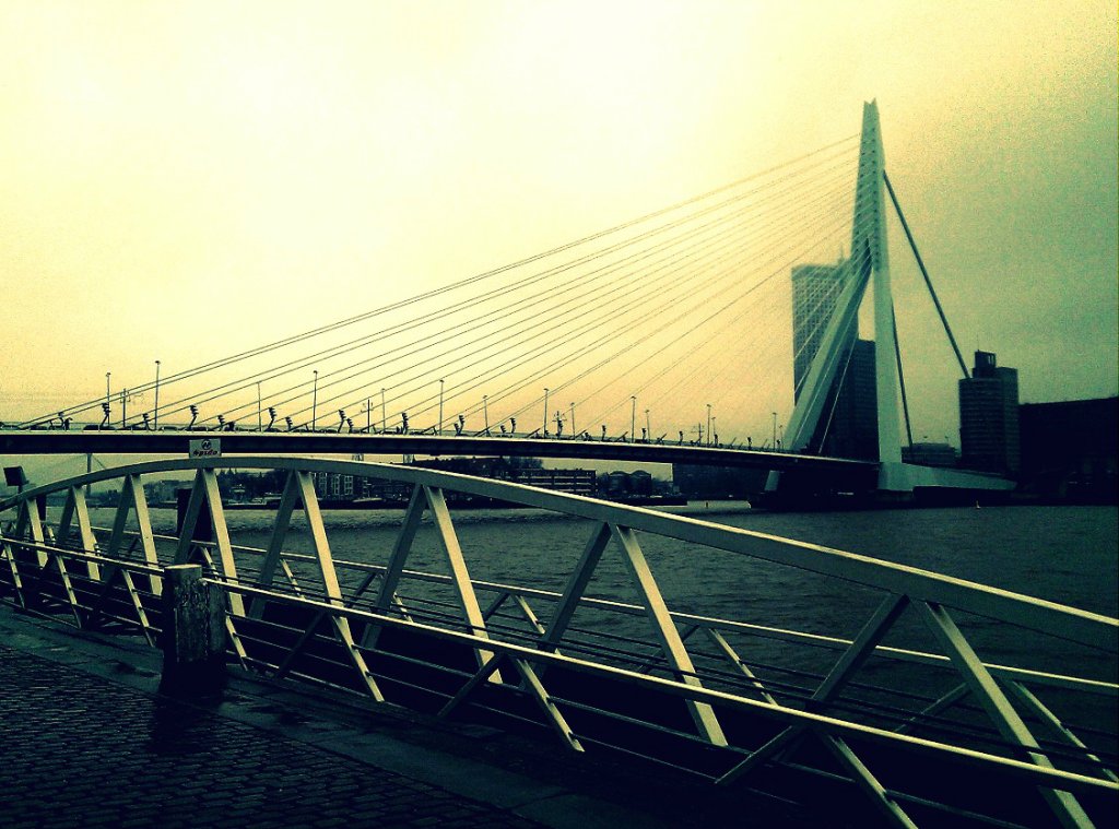 Erasmusbrug