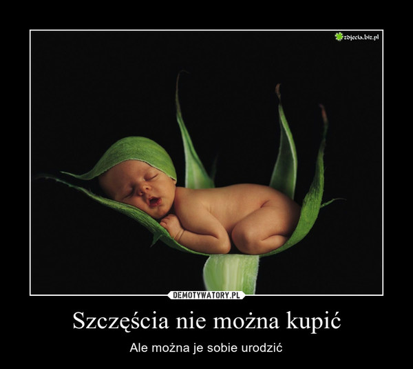 13.