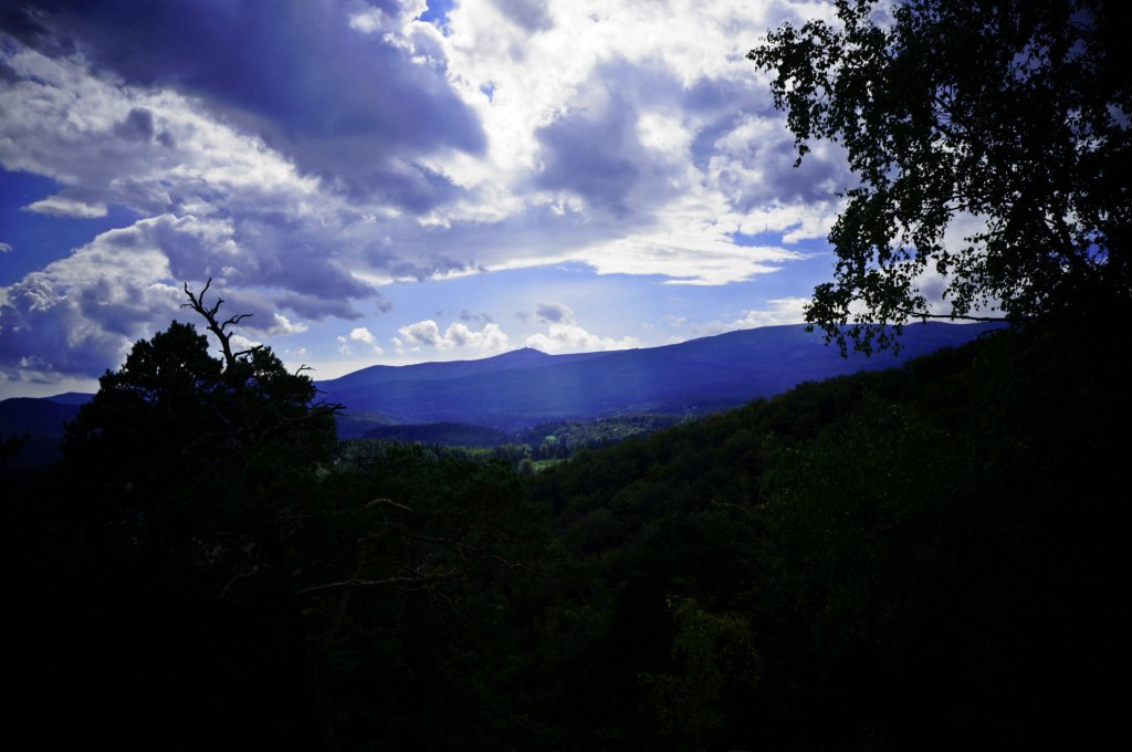 View.