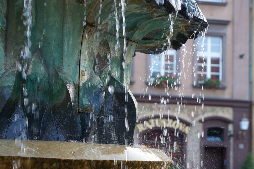 Pozna, miasto dozna?