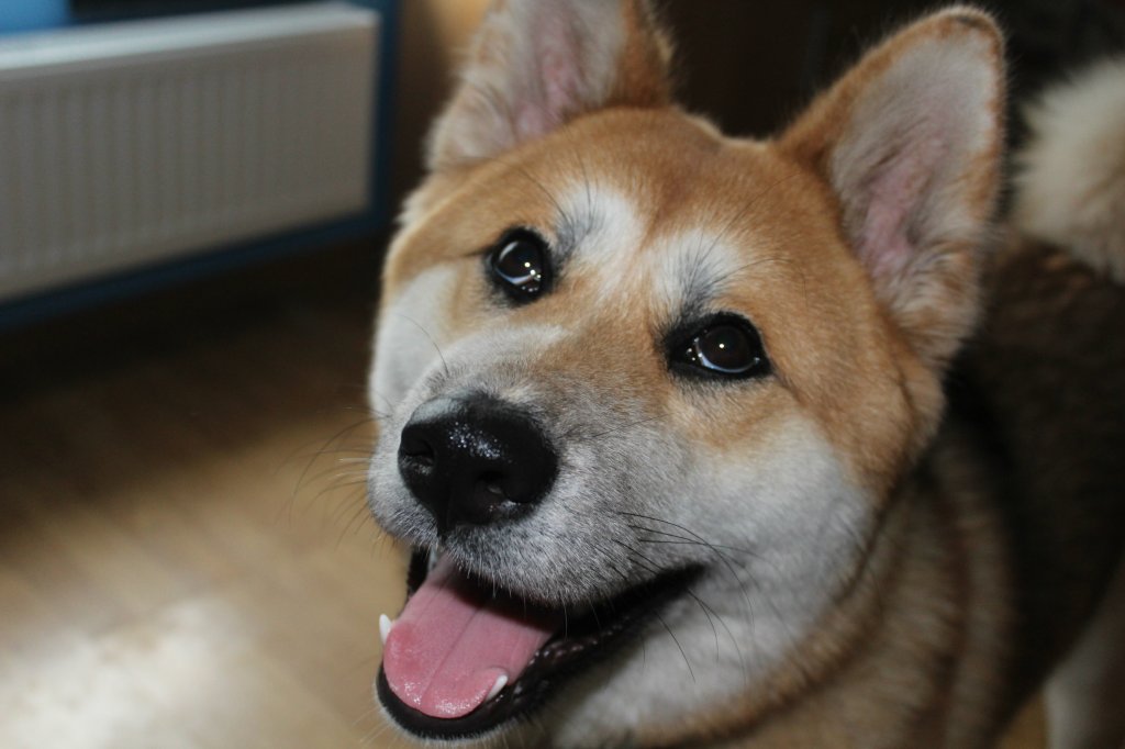 Kita.