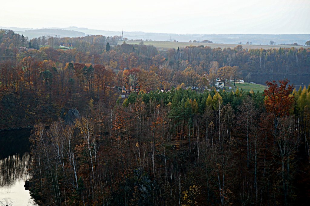 Forest.
