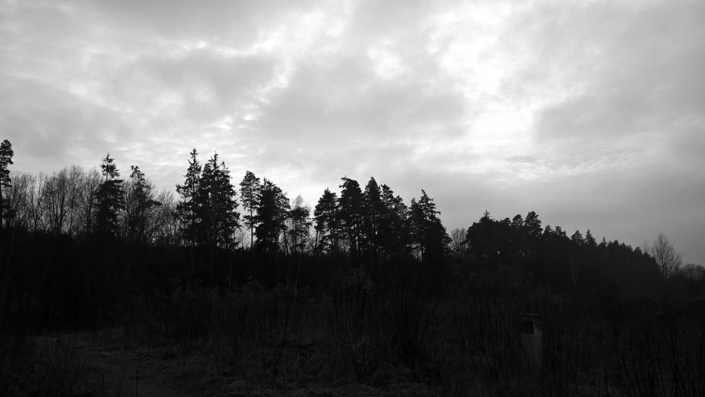 Grey...