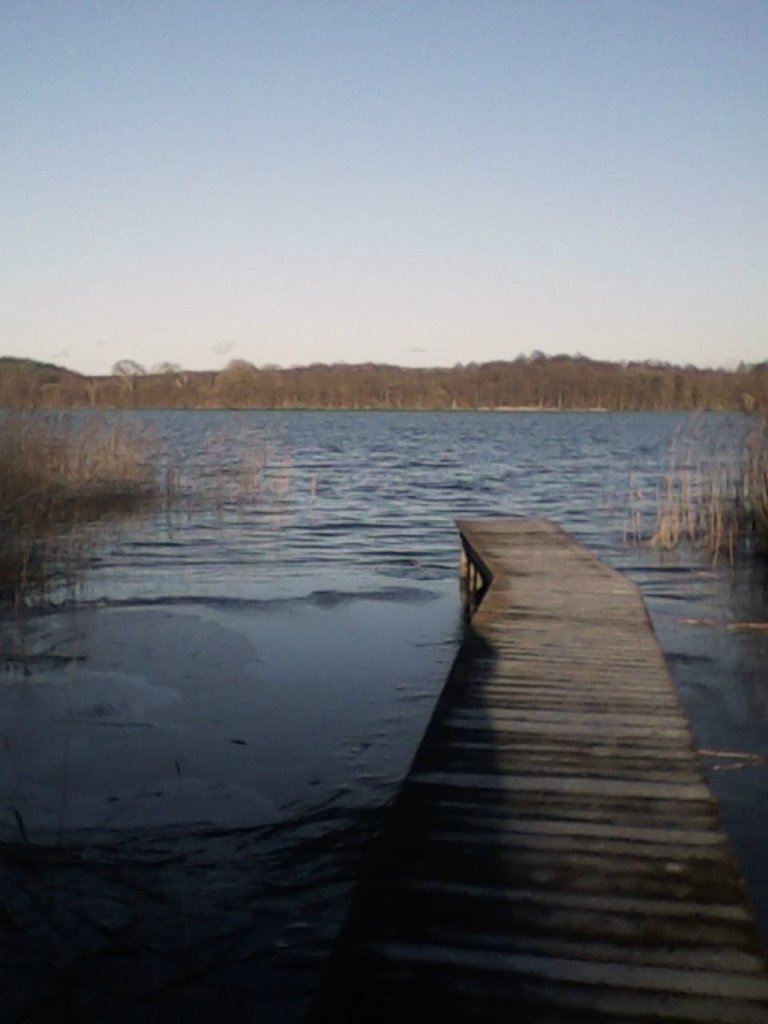 Poniedziaek.