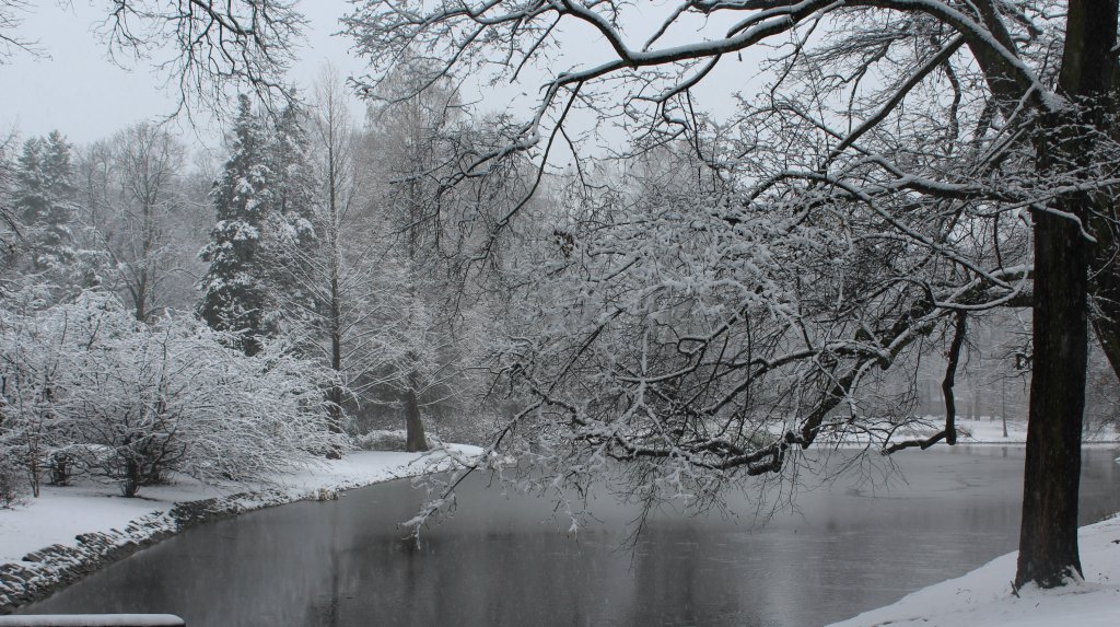 Park Szczytnicki
