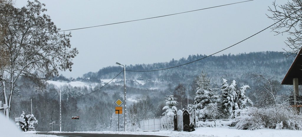 winter