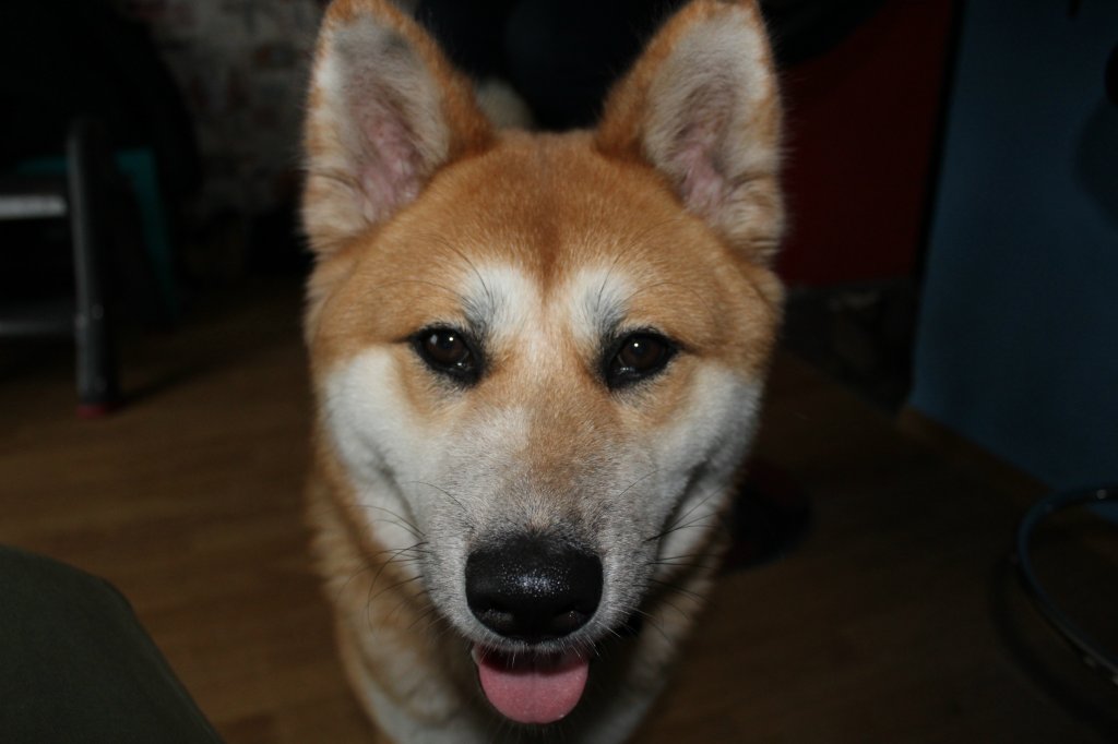 Kita.