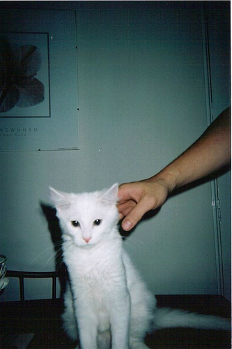 8. I loves you, Porgy
