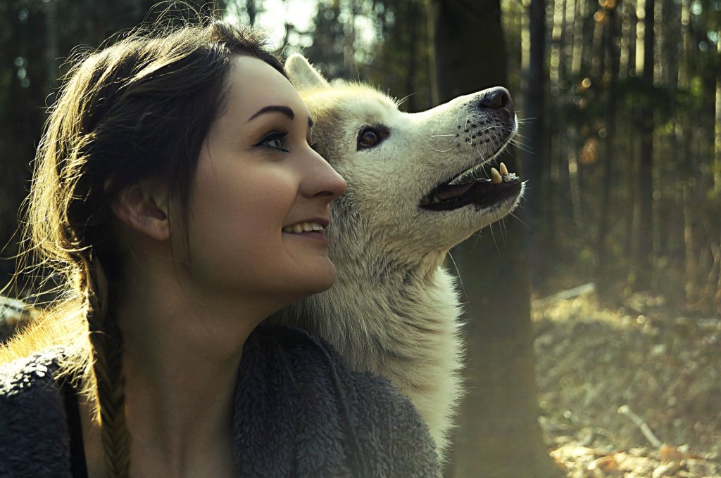 The wolf
