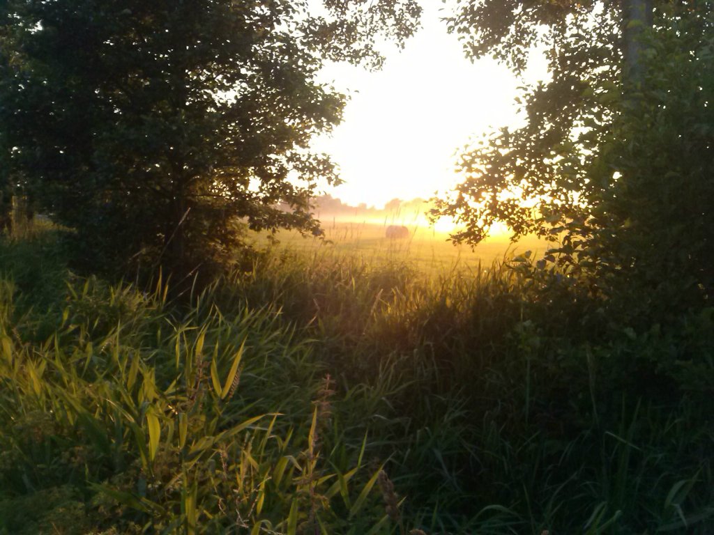 Wirtualny wiat....