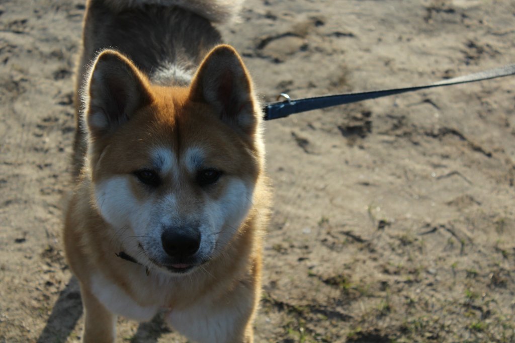 Kita.