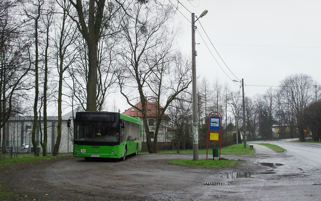 T. Rzemyk #200