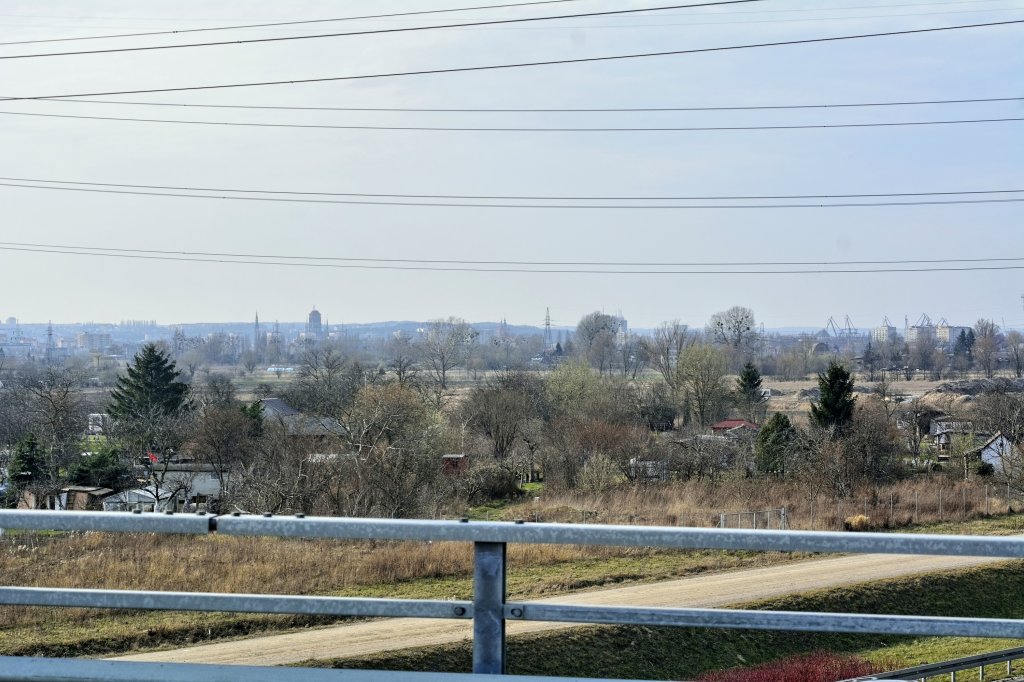 widok z Olszynki