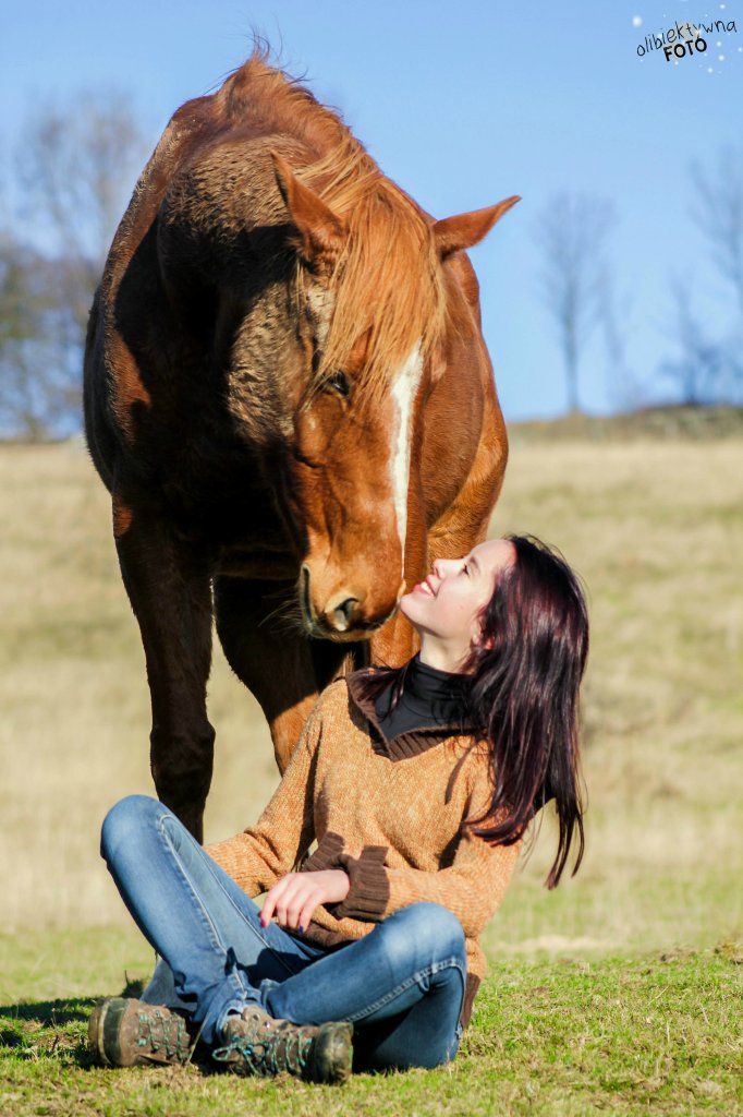 Girl and Horse