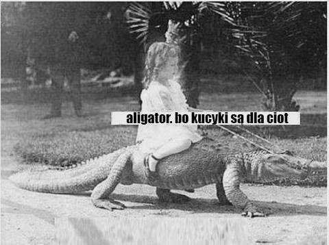 Bo wstaje nowy dzie wstaje