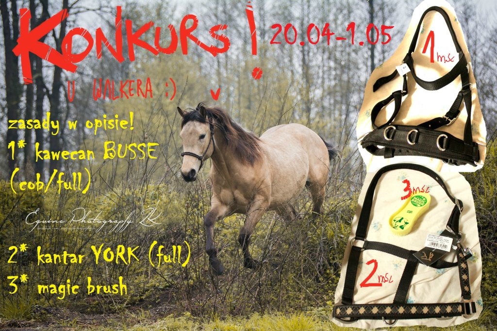 konkurs