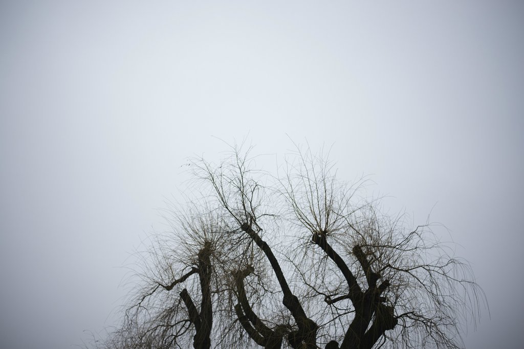 Lanckorona