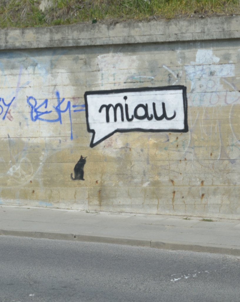 kociarskie graffiti  1