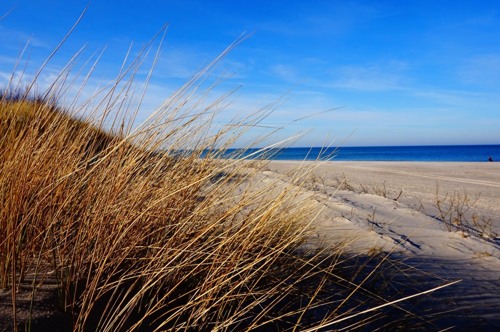 Ustka / plaa / trawy