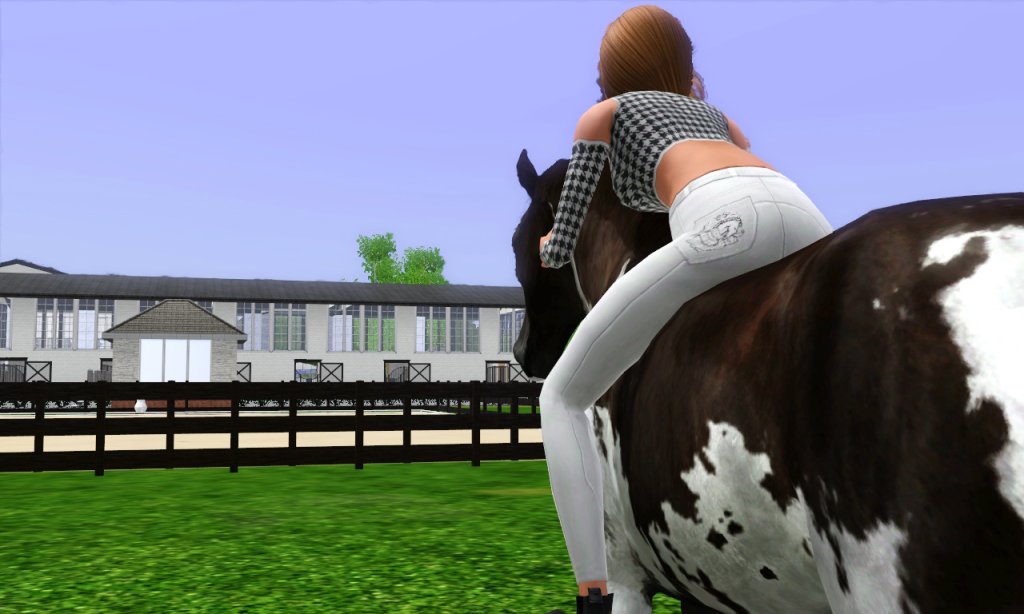 AUKCJA MOICH KONI EQUUS SIMS