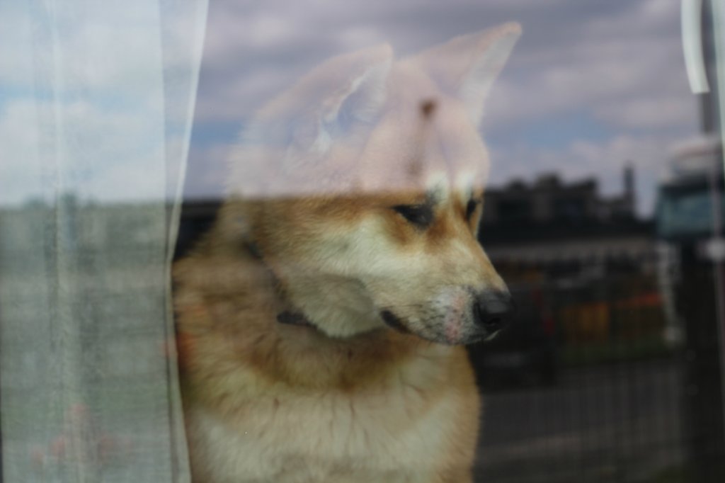Kita.