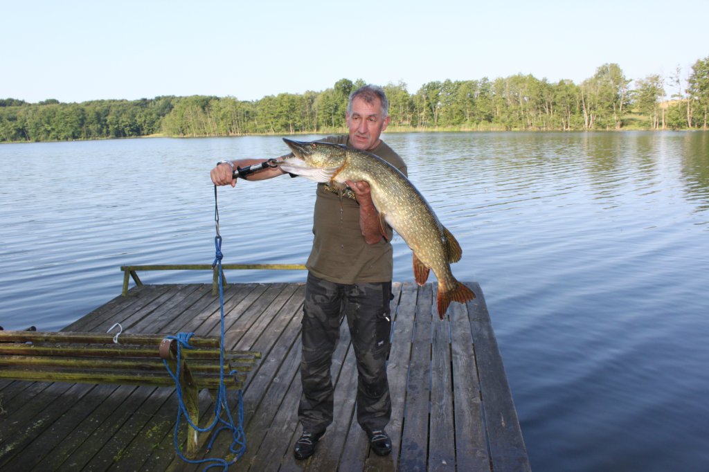 Szczupak 8 kg 107 cm