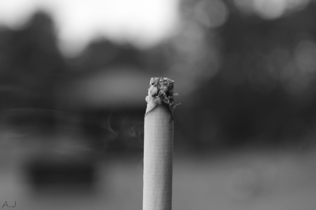 Memento mori