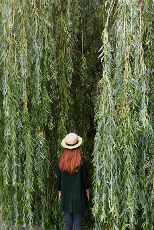 urban jungle
