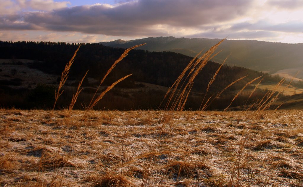 Bieszczady '16 ...