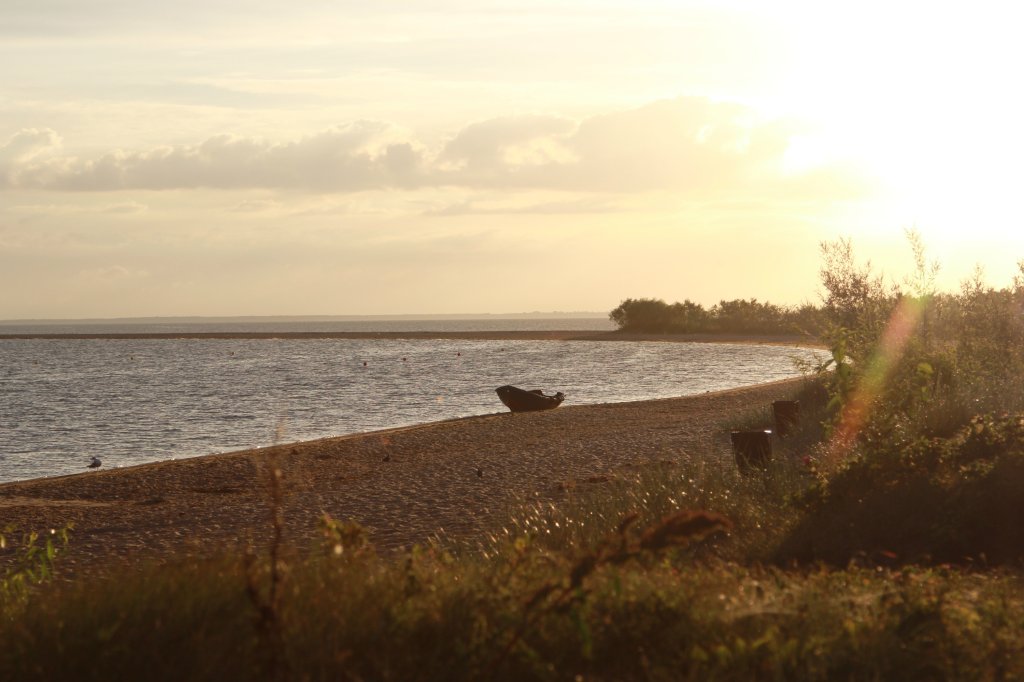 sunrise