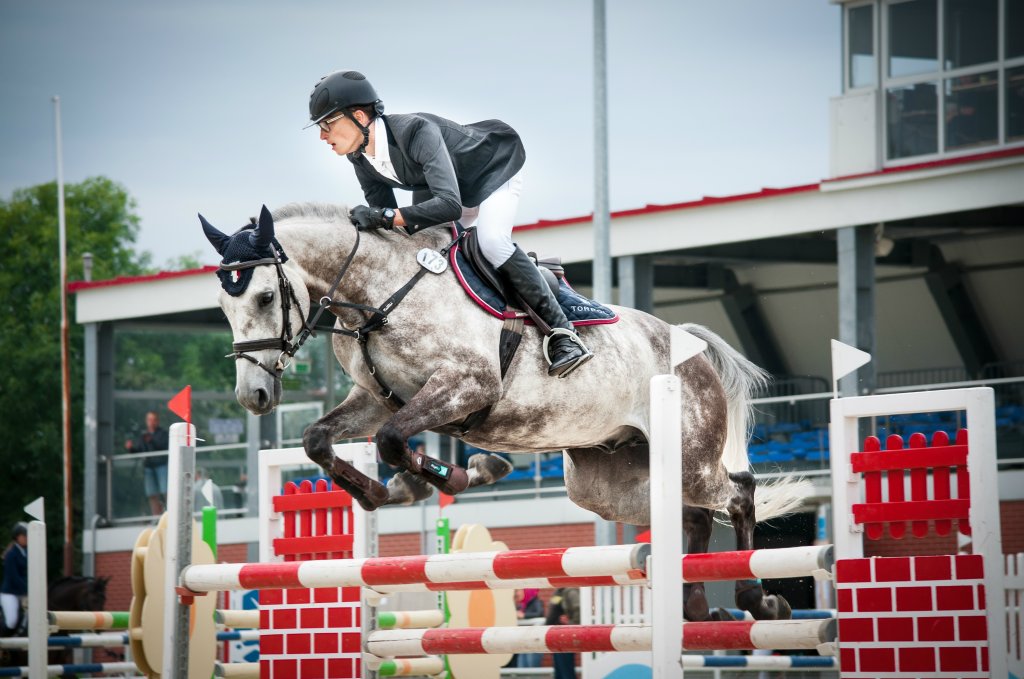 Drzonkw 2016