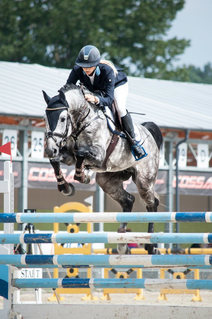 Drzonkw 2016