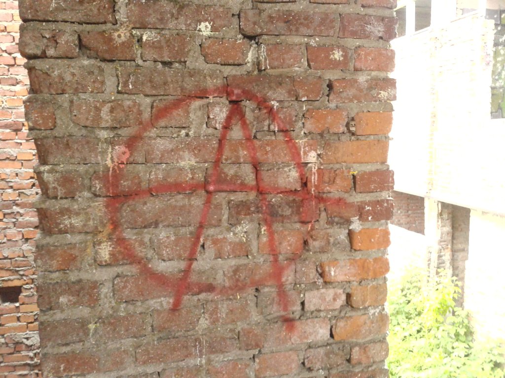 `wolnym wilkiem