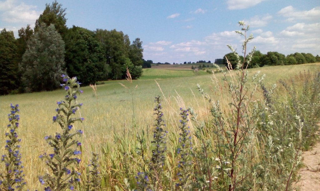 Mazurskie klimaty