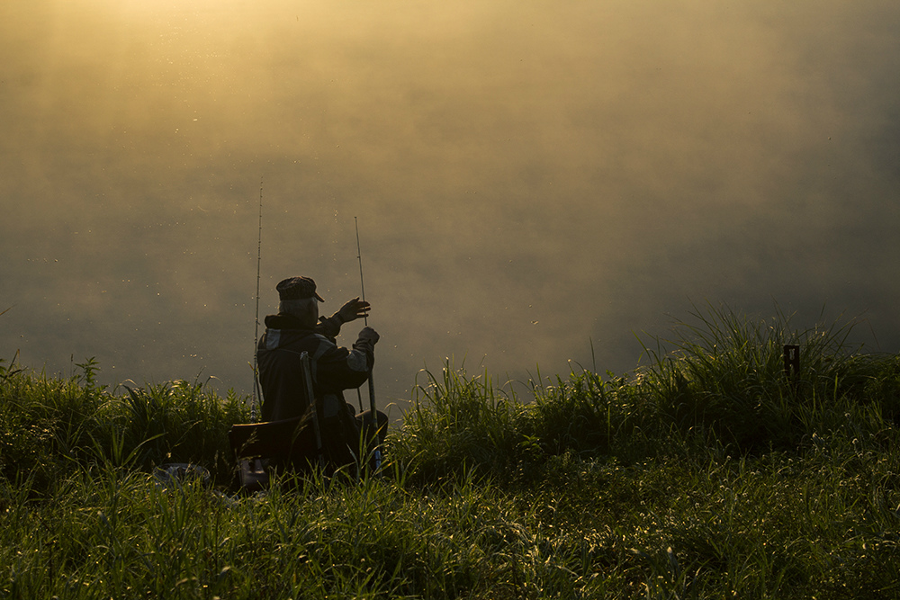 Enjoy The Silence