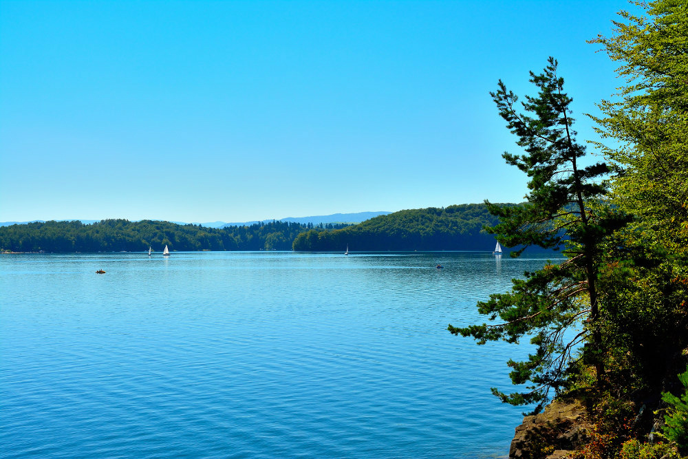 Solina
