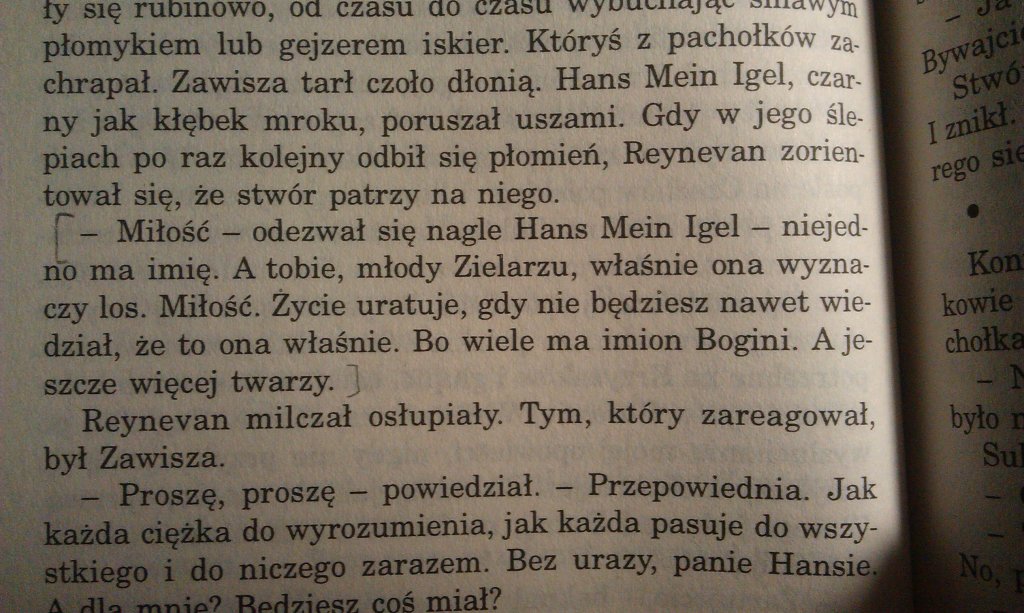 A.Sapkowski "Narrenturm&quo