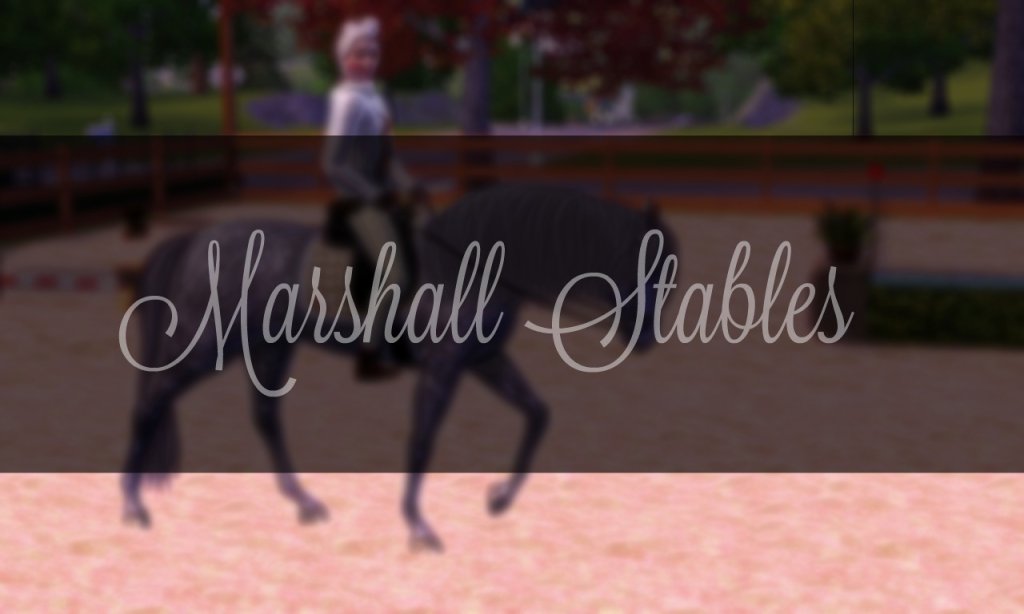 Marshall Stables