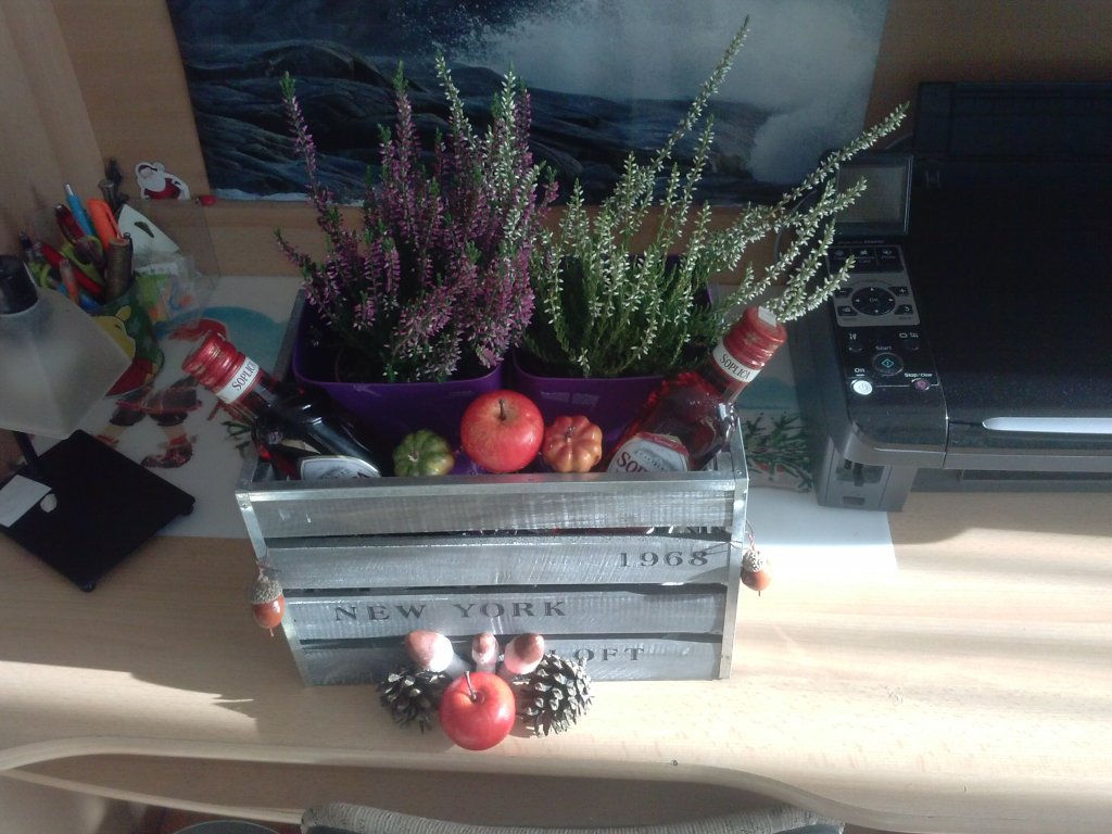 po dlugim czasie na chwilke ;(