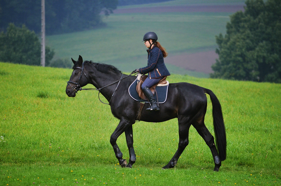 Lalin, 22-24 września 2016