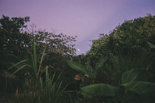 07.10