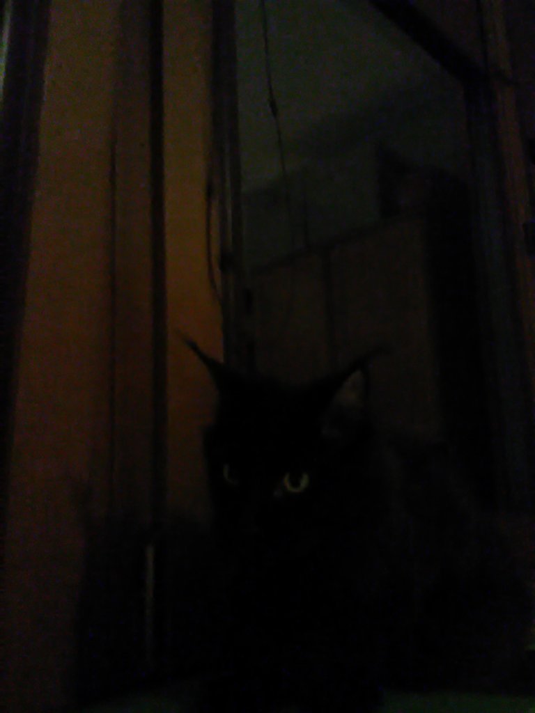 gowwd oczaminatwarz