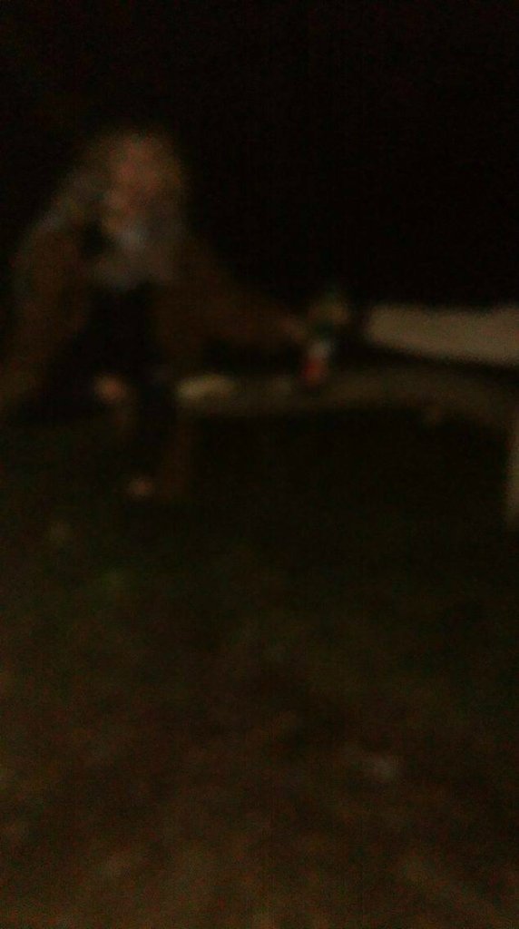 walc mi si ni