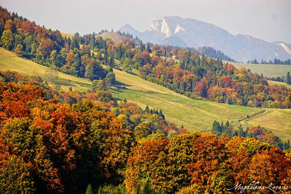 Pieniny
