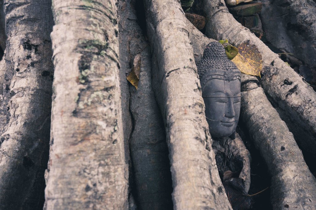 Budda